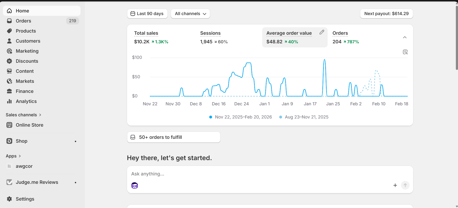Dropshipping store example
